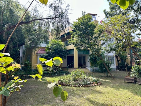 Modern bungalow hugged by trees