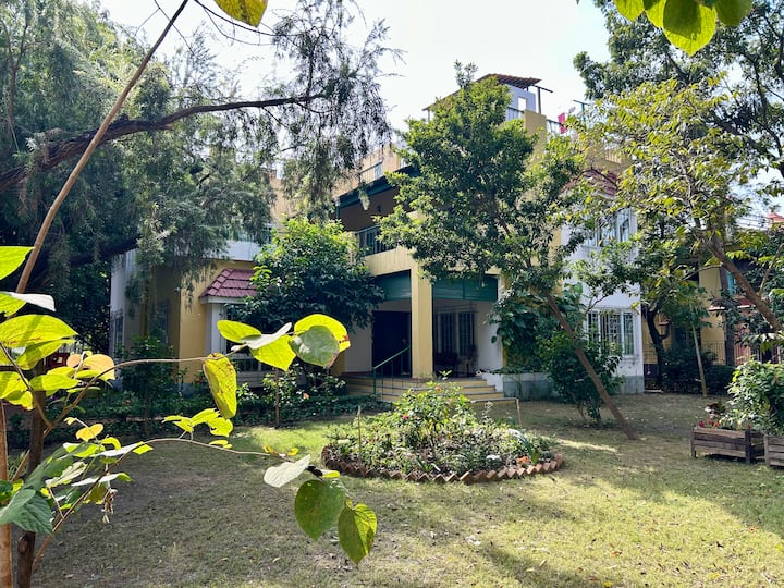 Modern bungalow hugged by trees