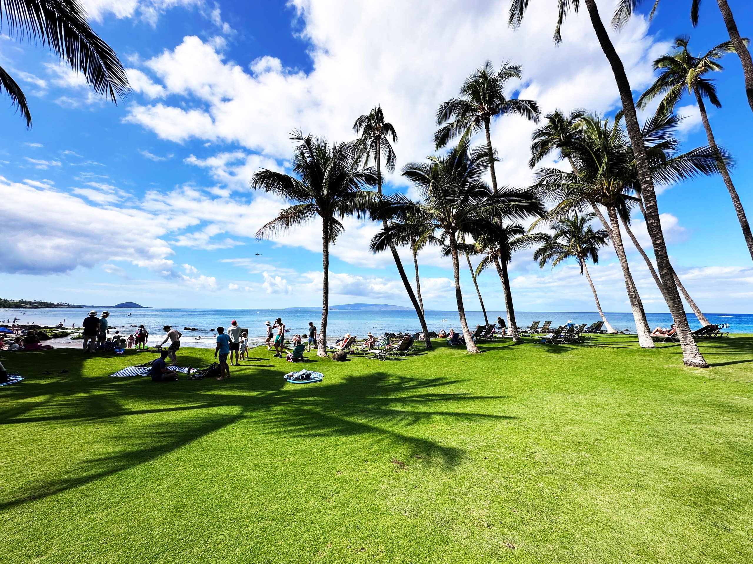 Tropical Oceanfront Escape *Pure Elegance* - Image 32