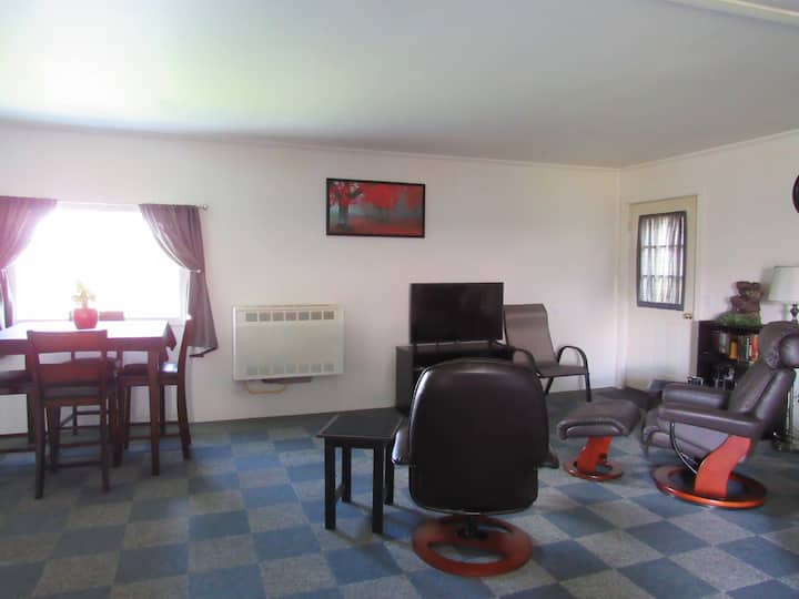 Sherri Jean's Air Bnb - Montrose, MI