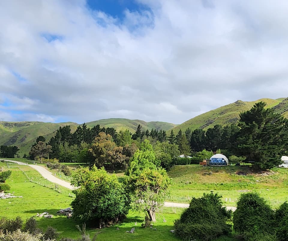 A geodesic dome on a lavender farm, Danseys Pass, Canterbury, New Zealand, photo 7 of 10