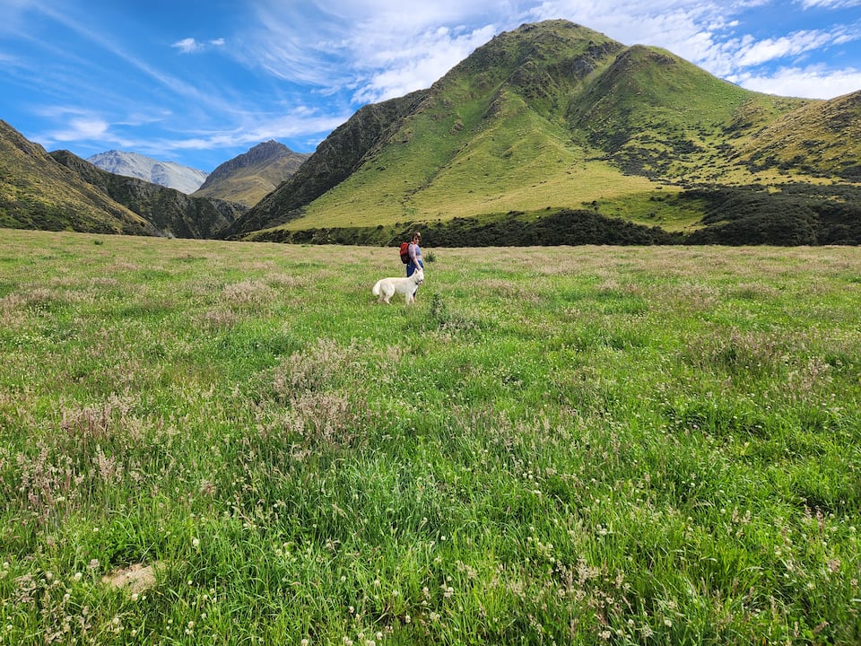 A geodesic dome on a lavender farm, Danseys Pass, Canterbury, New Zealand, photo 3 of 10