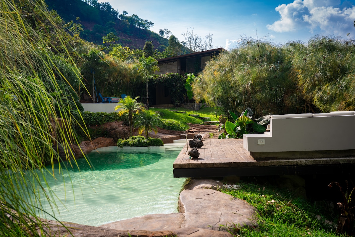 A natural pool with crystal-clear water surrounded by lush greenery is showcased. A wooden deck extends over the water, offering seating and a space to relax. The scenic landscape features gentle slopes and various plants, contributing to a tranquil outdoor environment.