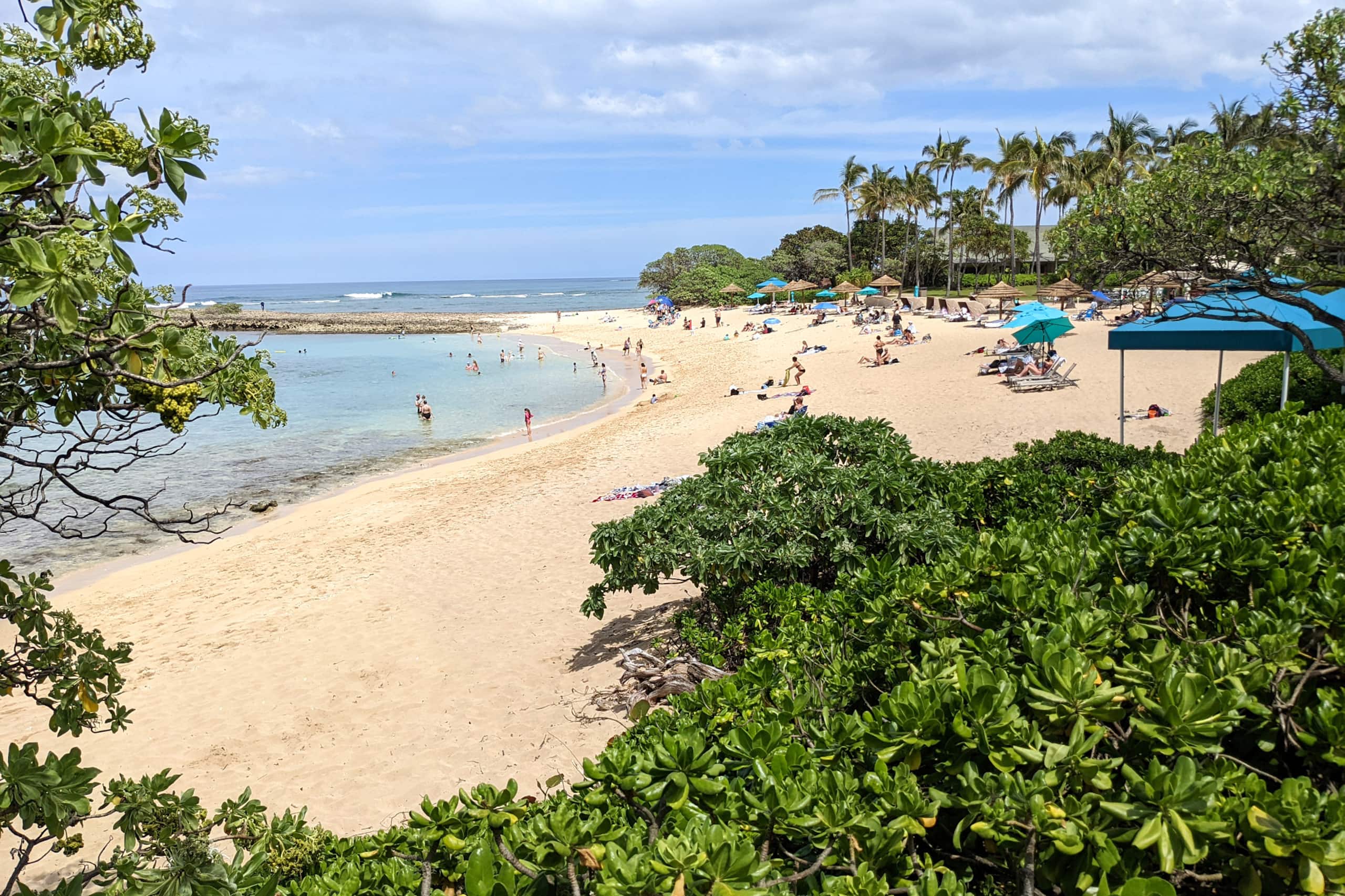 Home in Kahuku · ★4.71 · 1 bedroom · 2 beds · 2 private baths - Image 31