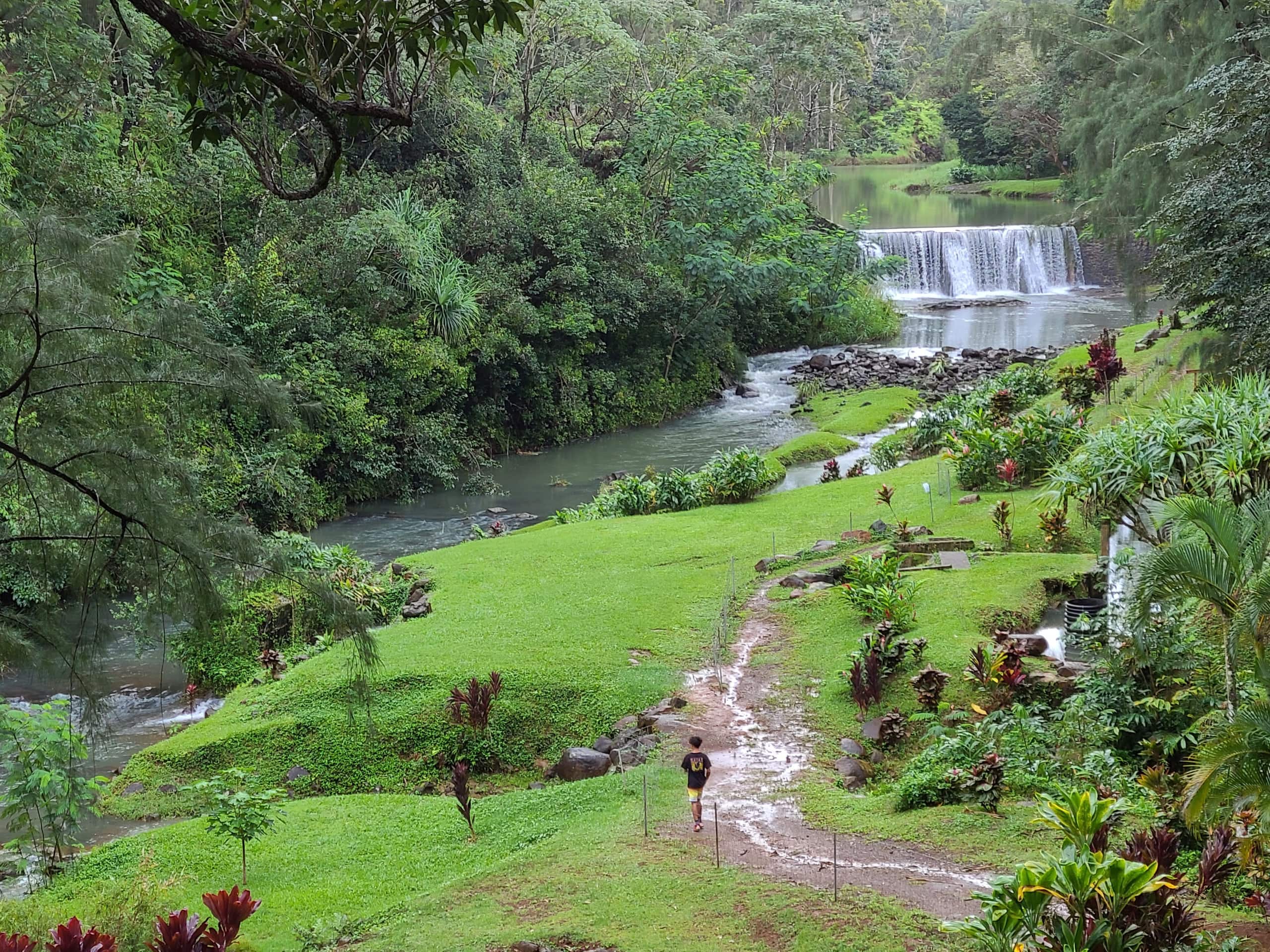 Condo in Koloa · ★4.79 · 2 bedrooms · 4 beds · 2 private baths - Image 16