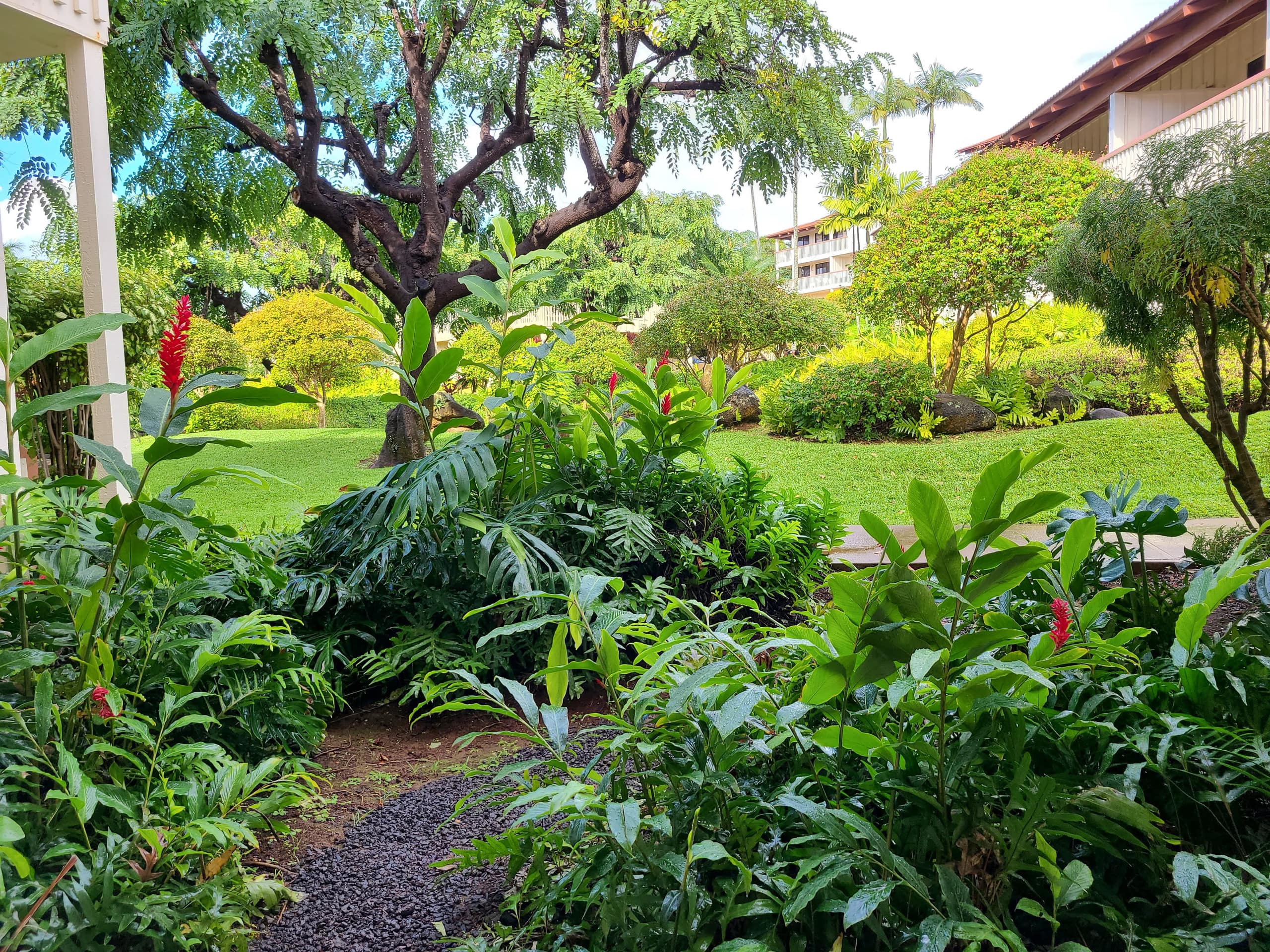 Condo in Koloa · ★4.79 · 2 bedrooms · 4 beds · 2 private baths - Image 15