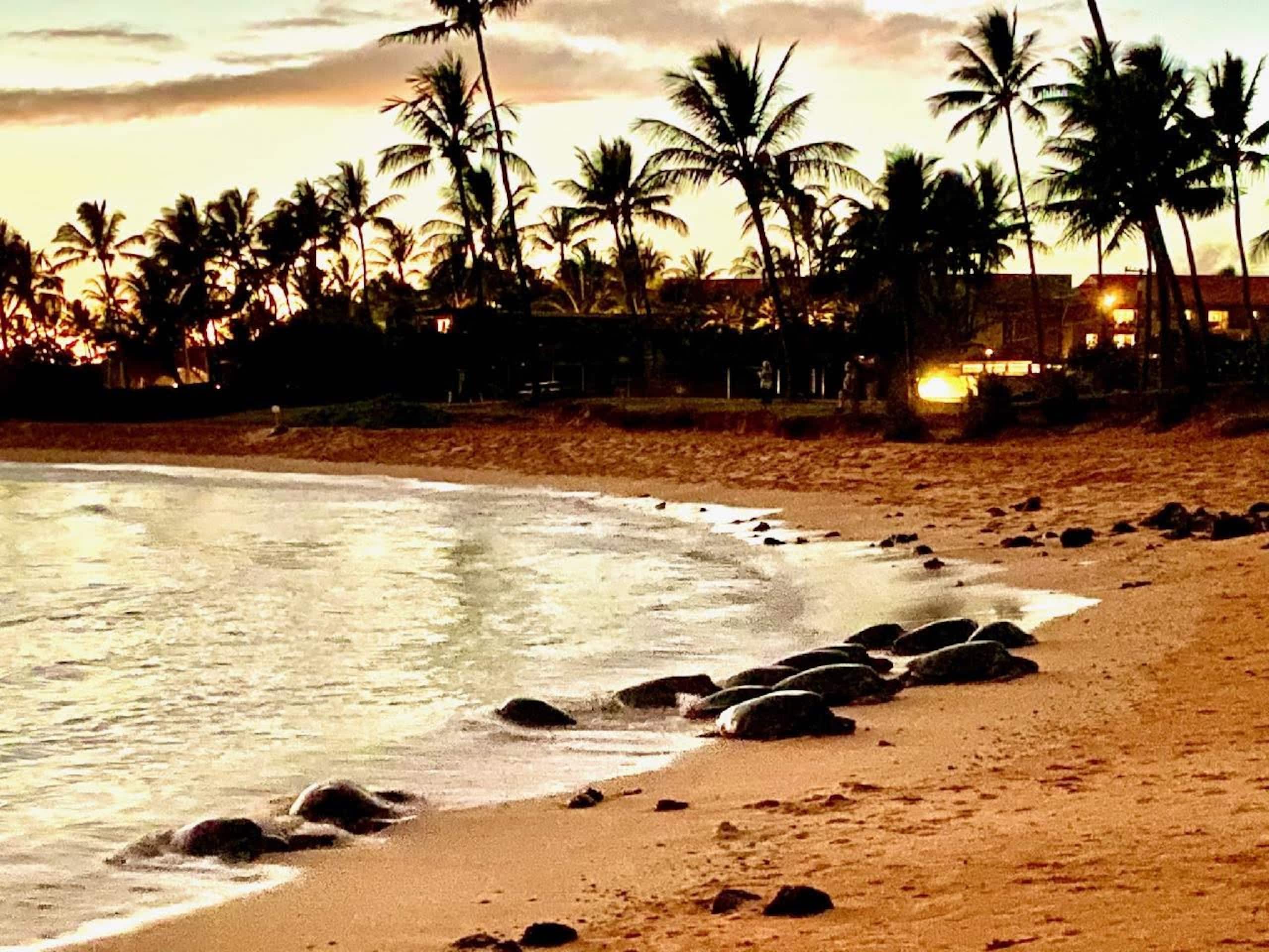 Condo in Koloa · ★4.79 · 2 bedrooms · 4 beds · 2 private baths - Image 20