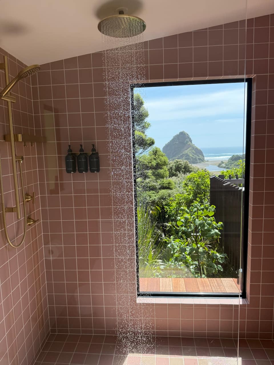 A romantic hideaway facing Lion Rock, Piha, Auckland, New Zealand, photo 7 of 10