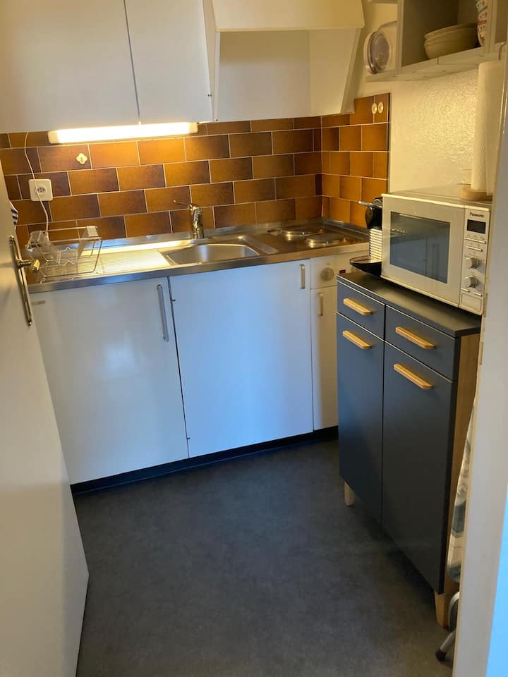 Old Town View - 1 Bedroom - Ferney-Voltaire
