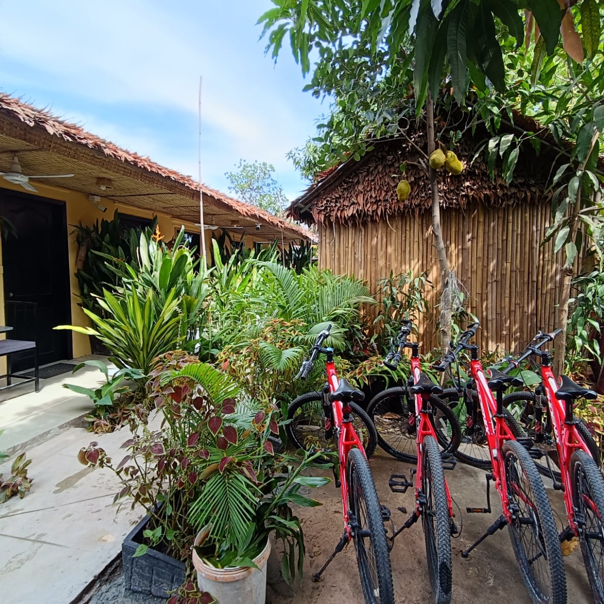 Several bicycles with red frames are lined up along a pathway, surrounded by diverse tropical plants. Rustic bamboo structures can be seen in the background, contributing to the lush garden setting that enhances the peaceful atmosphere of the property.