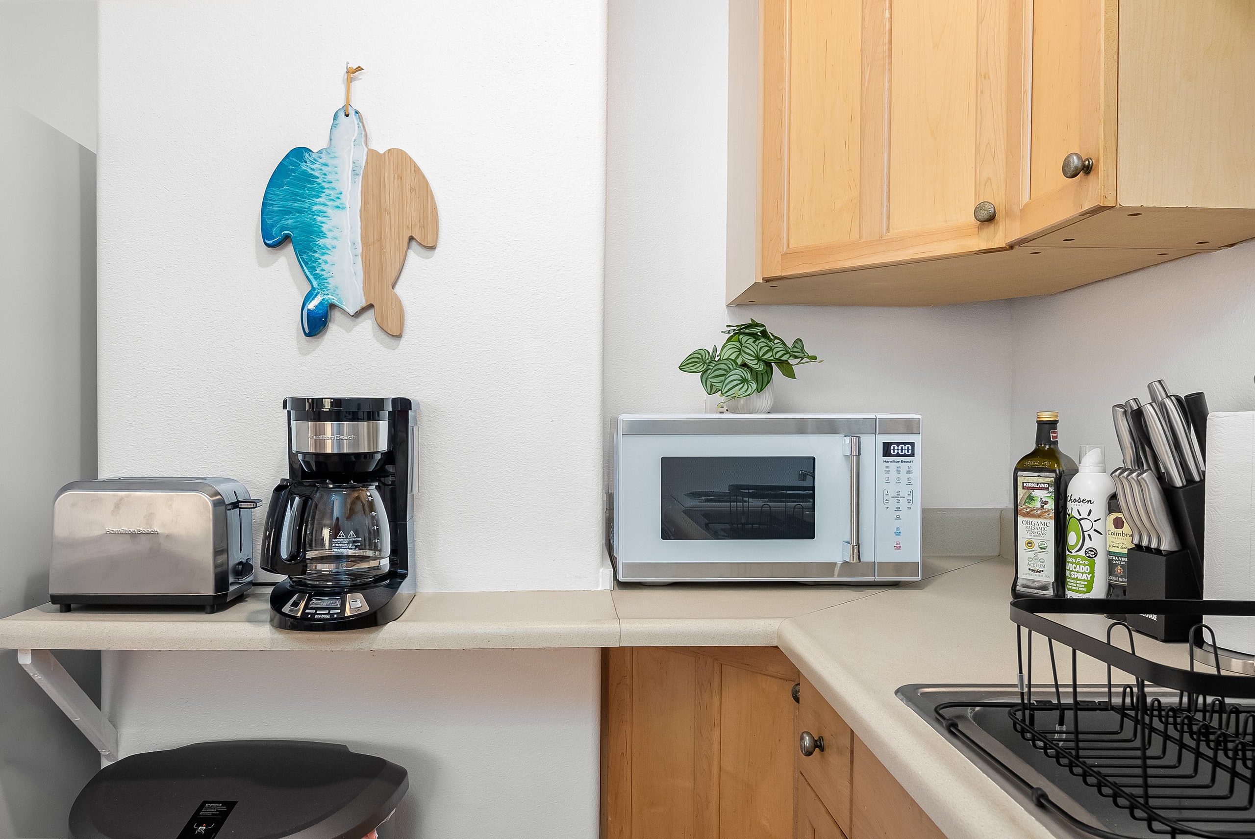 Central Beach Bungalow w/ A/C! - Photo 22