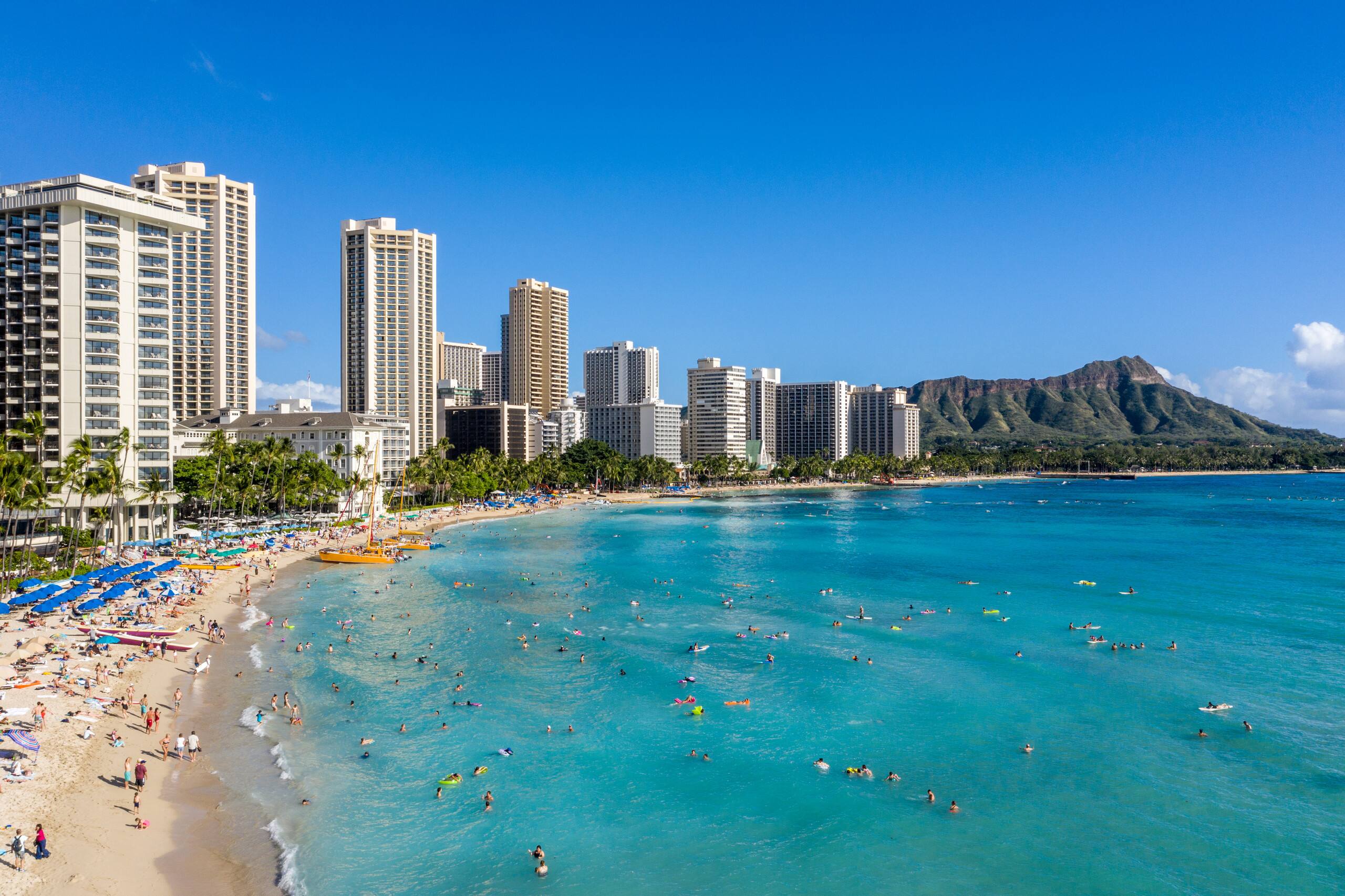 The Island Haven of Modern Comfort in Waikiki - Image 28