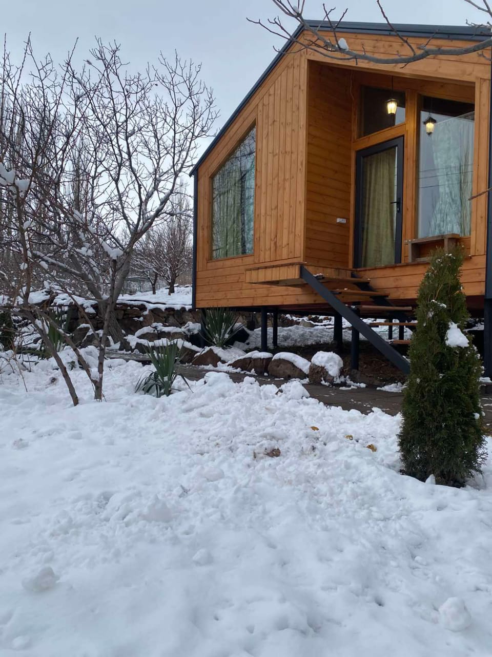 A contemporary wooden cabin is positioned on raised foundations, surrounded by a snowy landscape. The exterior features large windows inviting daylight, while a small, manicured evergreen shrub is visible near the entrance. The snowy ground accentuates the cabin's warm wooden tones.