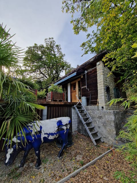 Cottage in the vineyards