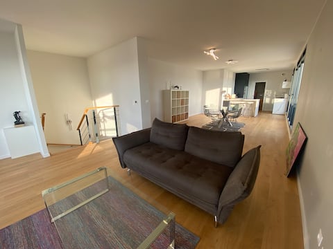 Luxurious penthouse on the Rhine near Basel