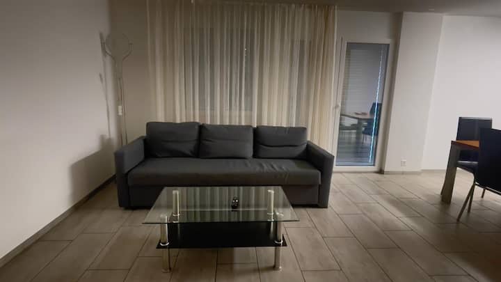 1 Wohnzimmer Und 1 Schalfzimmer - Aarau