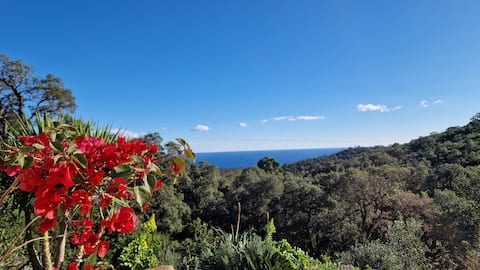 Annonce Airbnb populaire: Sea view apartment à Sari Solenzara