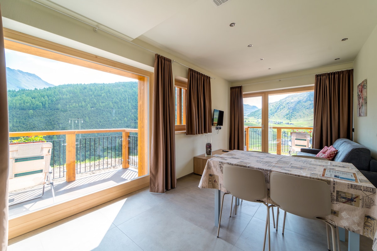 Successful Airbnb property: Arion Apt Anto - Trepalle in Livigno