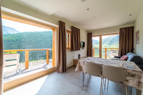 Successful Airbnb property: Arion Apt Anto - Trepalle in Livigno