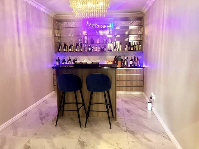 Cape Winelands Modern Villa gallery image 4