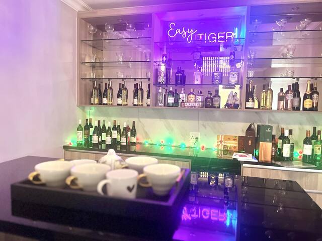 Cape Winelands Modern Villa gallery image 5