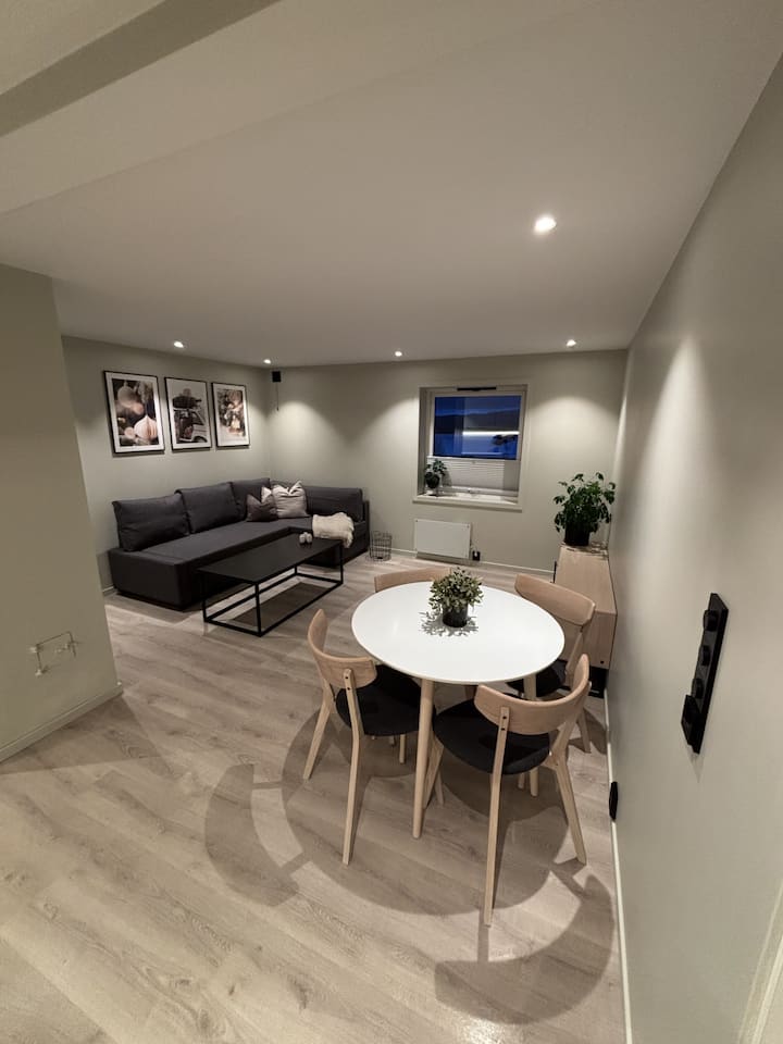 Living room and kitchen in one, with sofa bed of 140 cm available.