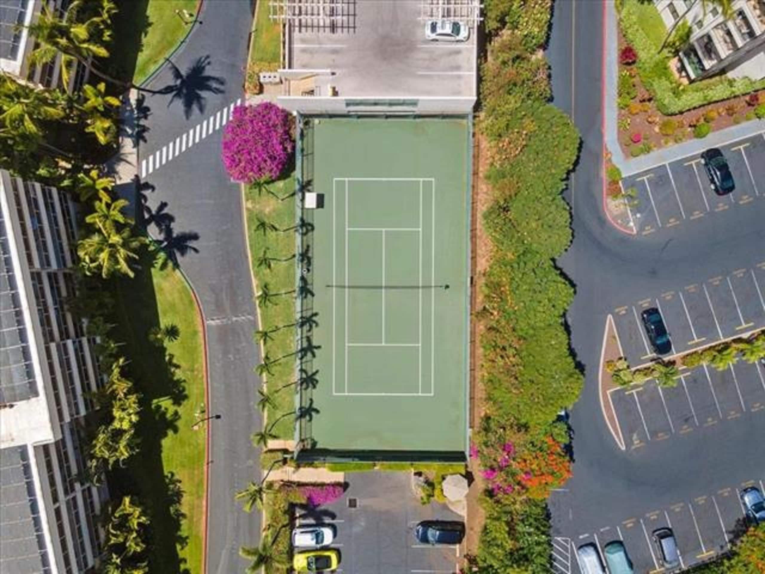 The Aloha Hale - Image 26