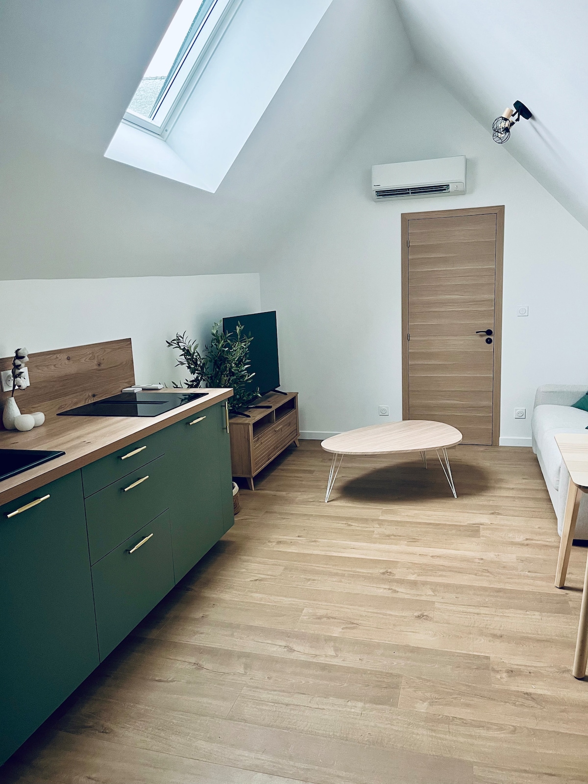 The open living area features a modern kitchenette with green cabinetry and a wooden countertop. A light wood coffee table is positioned in front of a plush sofa. A television is on a low wooden stand, while a door is visible leading to another room. Natural light streams in through a skylight.