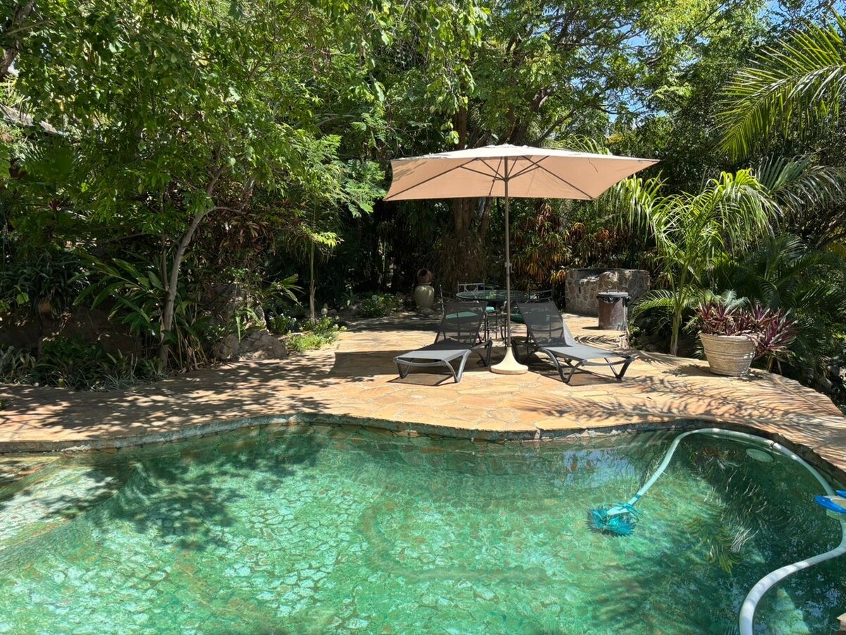 A crystal-clear pool is surrounded by natural stone, with a sunlit patio featuring a large umbrella providing shade over lounge chairs. Lush greenery envelops the area, creating a serene atmosphere. A variety of tropical plants is visible in the background.
