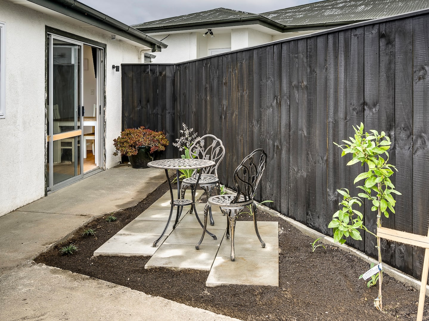 Cabbage Tree Corner 2