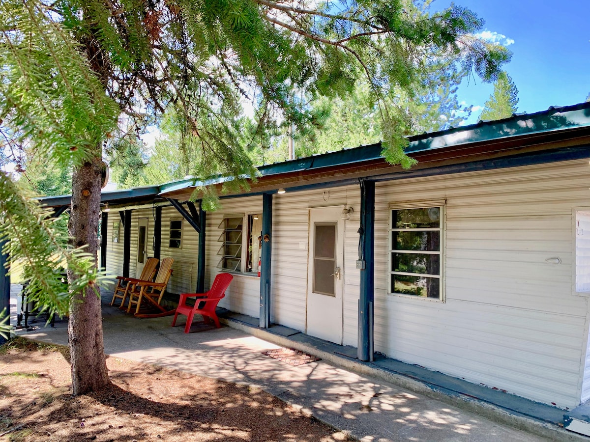 A mobile home exterior is framed by tall trees, offering shade to a porch with seating options. Multiple doors lead into the home, while large windows allow natural light to illuminate the interior. A pathway connects the entrance to the surrounding greenery.