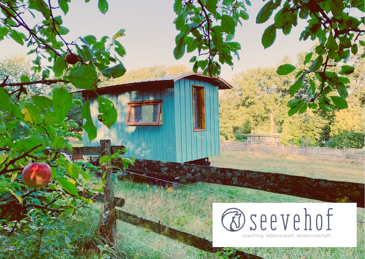 A charming wooden shepherd’s wagon is nestled among vibrant trees, displaying a calming blue exterior. A small window allows natural light inside, while a grassy area extends in the background, bordered by a rustic wooden fence, conveying a serene countryside setting.