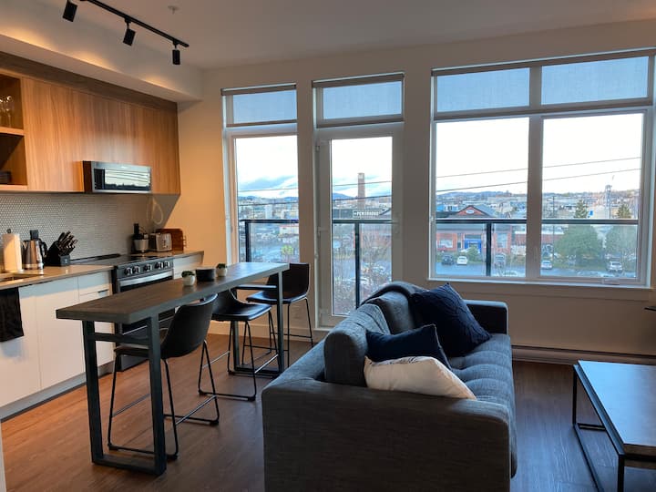 New 1bd/downtown/pking/furnished - Saanich Core
