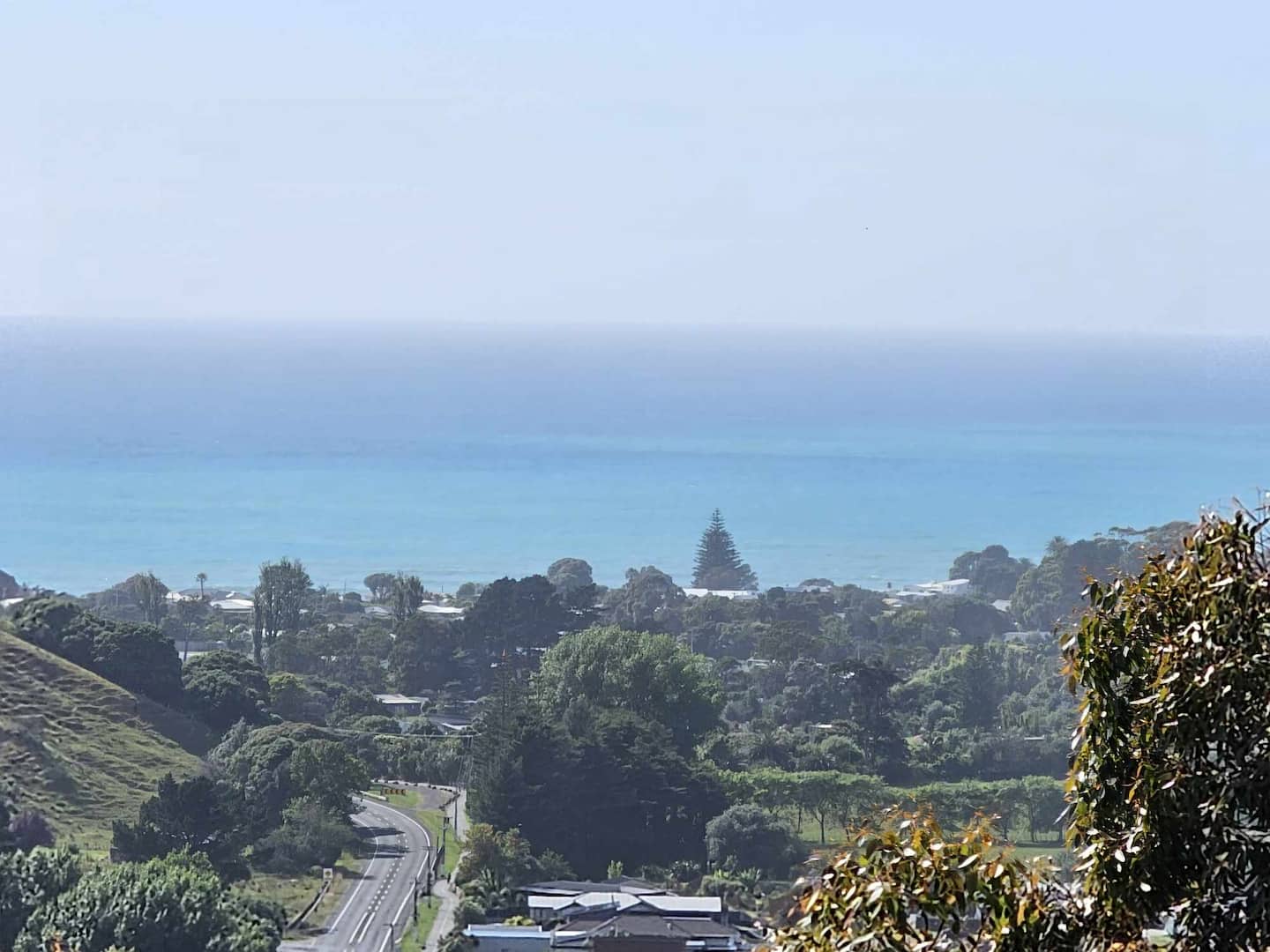 The Lookout 5