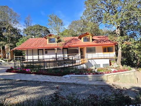 Forest Bathing Cabin