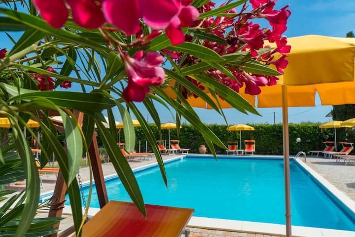 Casalpiano - Campiglia Marittima