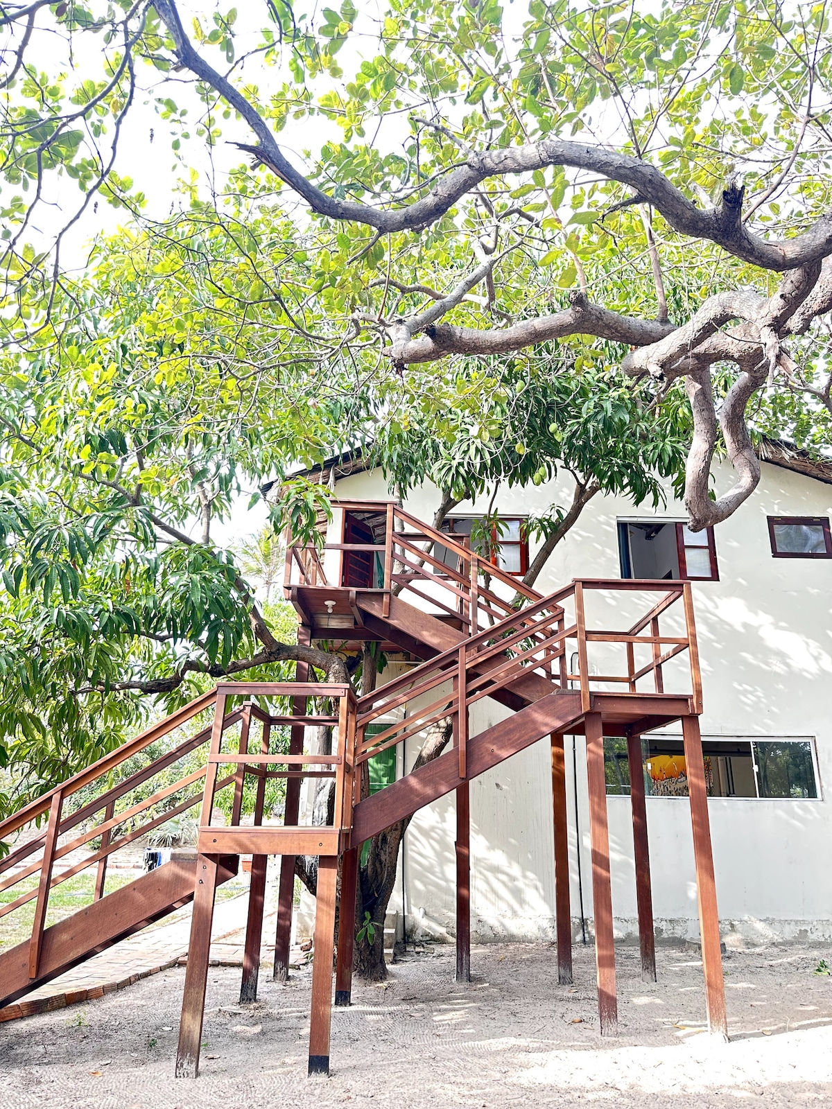 A handcrafted wooden staircase is seen ascending through a mango tree canopy, leading to a treehouse situated above the ground. Lush greenery surrounds the structure, which features large windows framed in red. The earthy tones of the wood complement the natural environment.