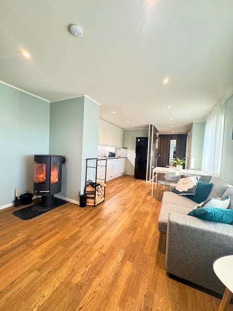 Popular Airbnb listing: Cozy 3-bedroom apartment with fjord view in Ringerike