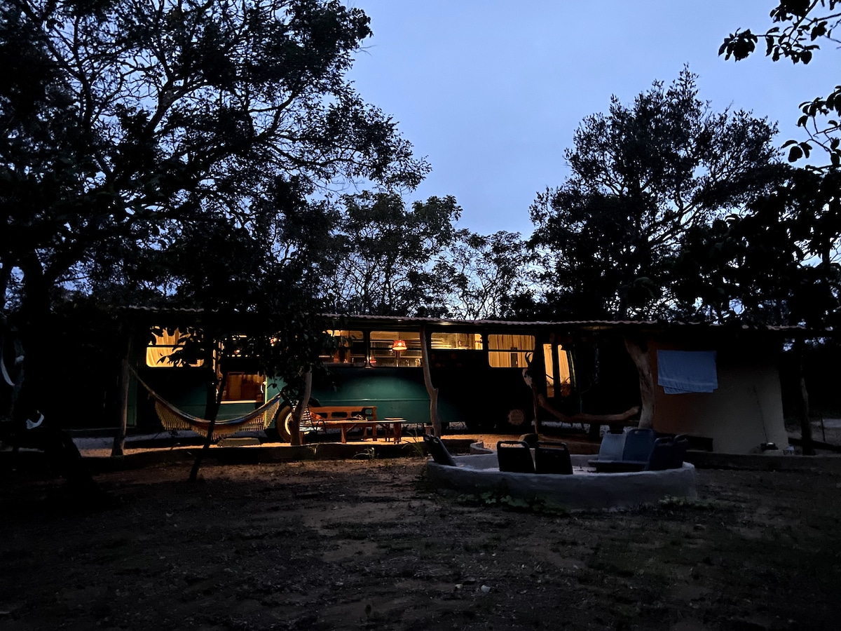The bus accommodations are viewed in the early evening, surrounded by trees. Soft lighting from the interior creates a welcoming ambiance. Hammocks are visible on the terrace, and seating is arranged in a cozy area outside, ideal for relaxing under the open sky.