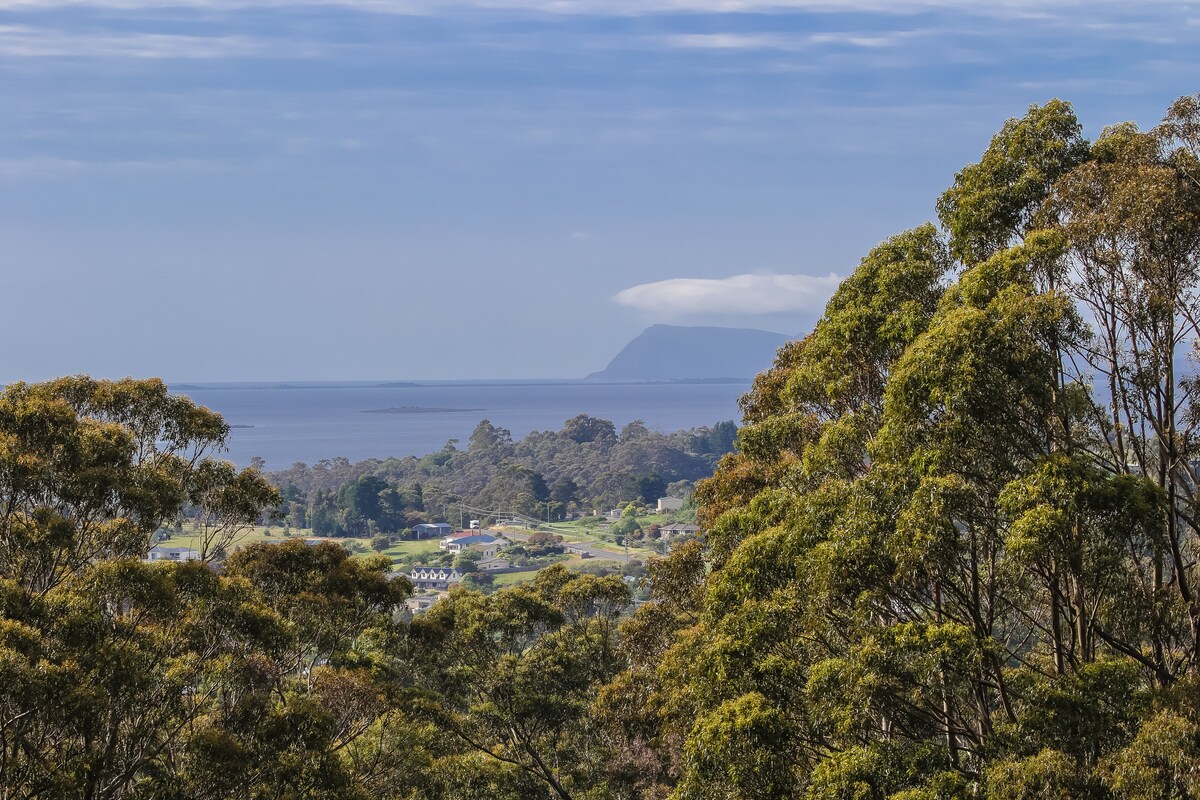 A scenic view of the Tasmanian coastline is framed by lush green trees. In the distance, a prominent landform rises from the water, partially shrouded in clouds. The calm waters reflect the tranquility of the surrounding landscape.