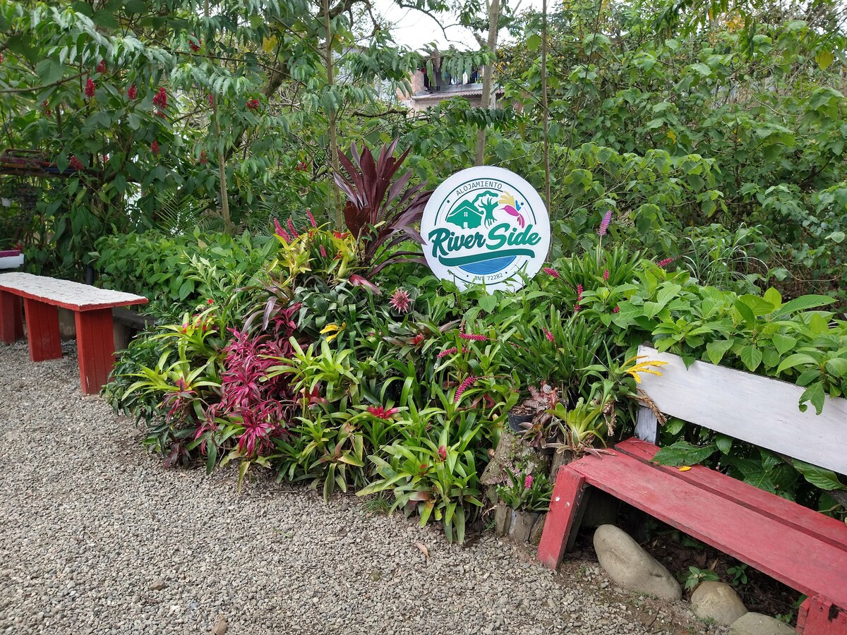 A garden area features a sign for River Side, surrounded by lush tropical foliage. Colorful plants and flowers are positioned thoughtfully around gravel pathways. Red benches offer seating amidst the greenery, inviting relaxation in a natural setting.