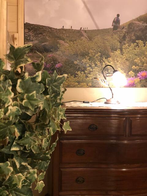 Casa Durrow - a cabin in nature