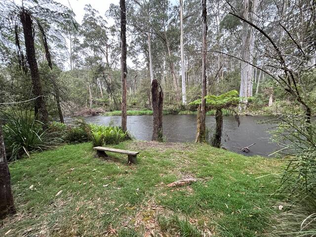 Hidden River, along the river. gallery image 2