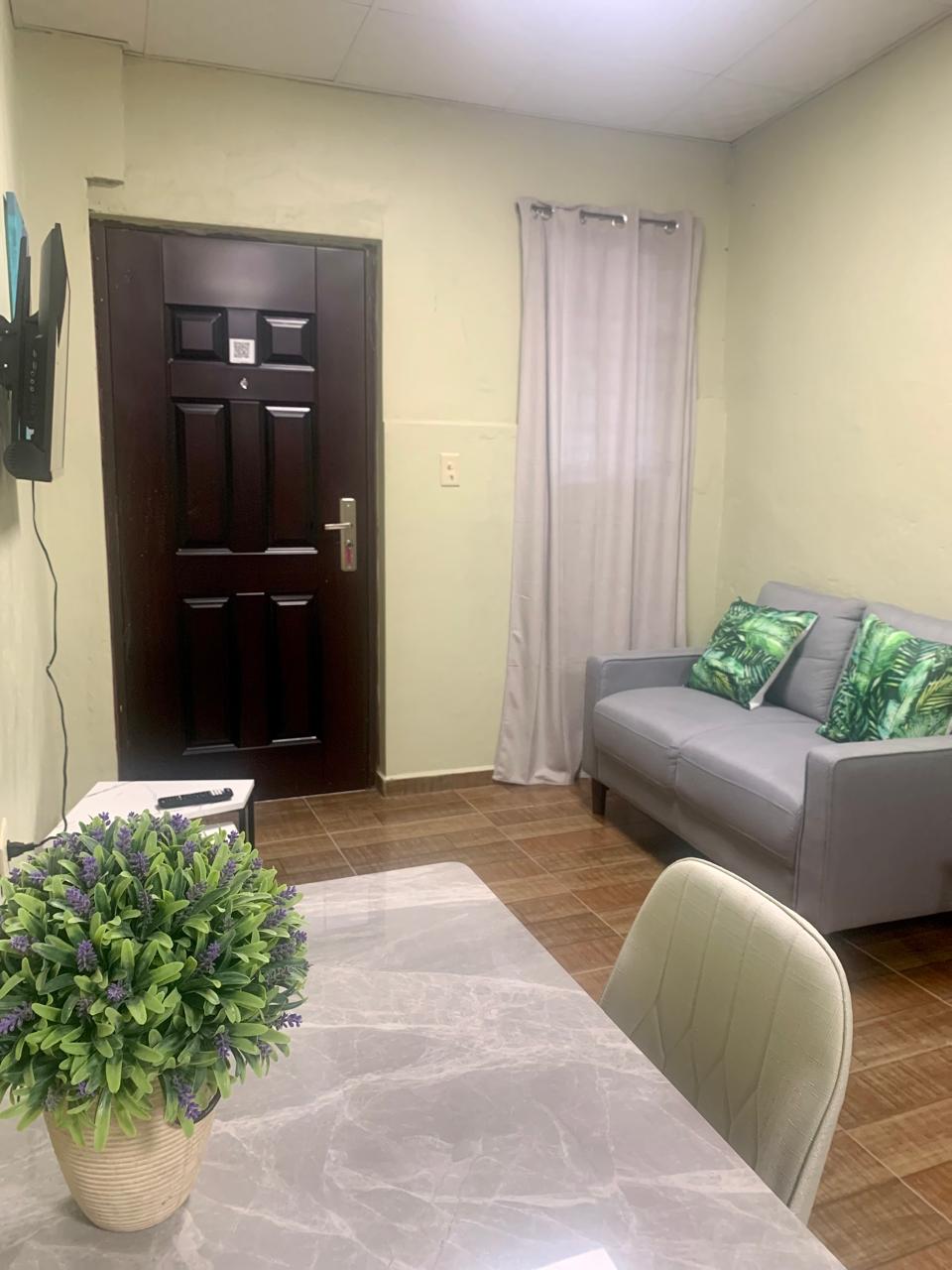A living area features a gray sofa adorned with two green leaf-patterned cushions. A small dining table sits in front, complemented by a chair. Light-colored curtains frame the window, while a potted plant adds a touch of greenery to the space.