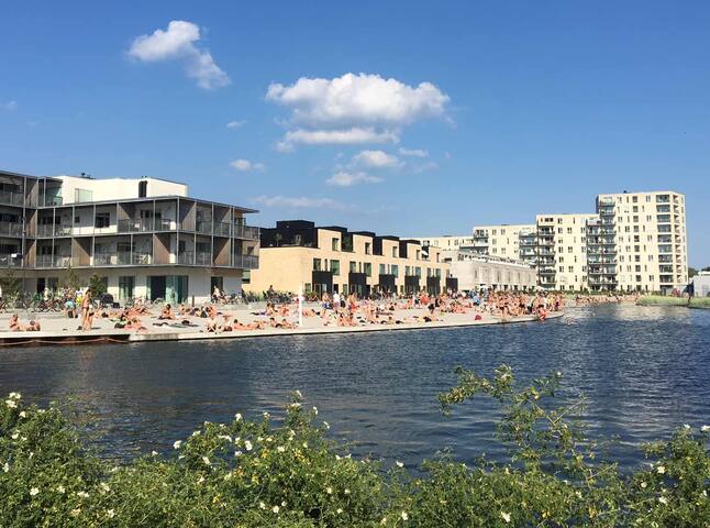 cool new townhouse in Copenhagen gallery image 2