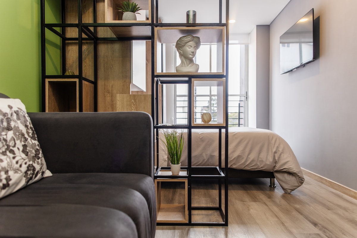A modern open layout is highlighted by a stylish shelving unit, featuring decorative items and greenery. The soft grey couch faces a cozy sleeping area, visible in the background, complemented by a wall-mounted television and abundant natural light from the nearby window.