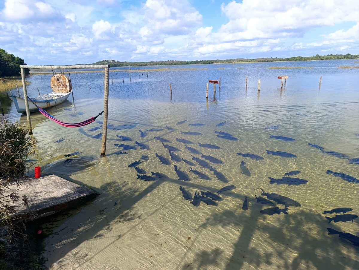 A serene lagoon is depicted, featuring a clear surface with a school of fish swimming below. A hammock is suspended nearby between wooden posts, with a small boat visible in the background. The sky above is partly cloudy, casting dynamic shadows on the water.