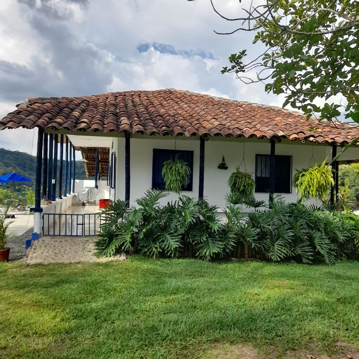 A charming white structure is highlighted by a terracotta roof and blue accents. Lush ferns are positioned near the base, and the surrounding grassy area provides a natural setting. The porch offers shaded seating, creating an inviting space for relaxation.