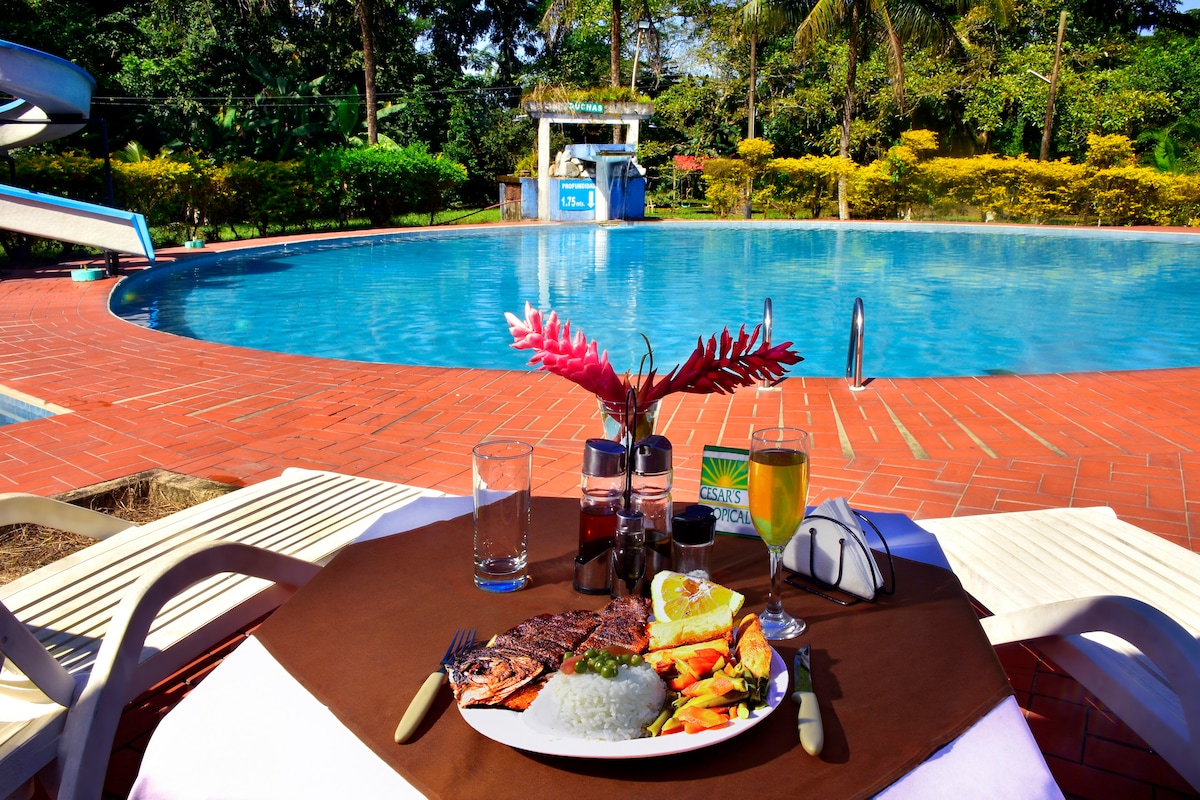 A dining table is set near a large swimming pool, showcasing a plate of grilled fish accompanied by rice and vegetables. Drinks are placed on the table, with vibrant tropical plants framing the scene, creating a relaxed outdoor dining atmosphere.