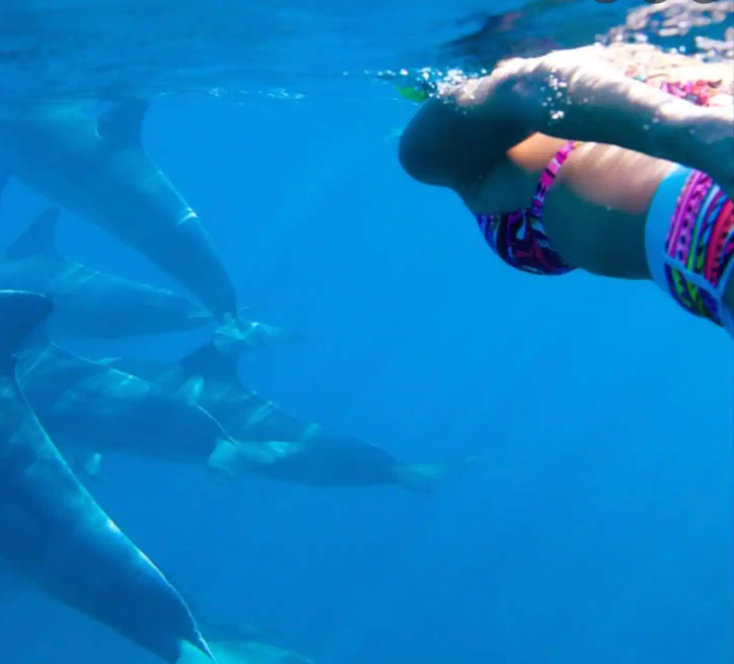 Hawaii Ocean Breeze Dome Getaway - Photo 18